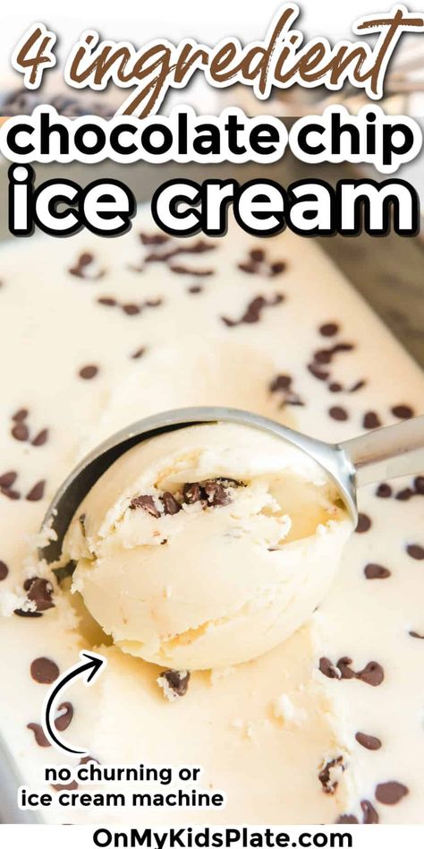 No Cook Ice Cream Recipes, Chocolate Chip Ice Cream Recipe, Ice Cream No Churn, Ice Cream Recipes Machine, Kids Plate, Easy Ice Cream Recipe, Homemade Chocolate Chips, Ice Cream Maker Recipes, Easy Ice Cream