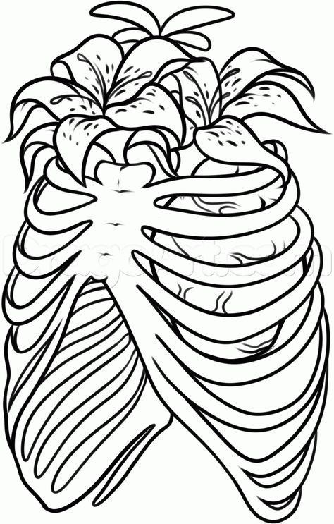 Rib Cage Drawing, Tattoo Step By Step, Rib Cage Tattoo, Cage Tattoo, Anatomical Heart Tattoo, Native American Tattoos, Ribcage Tattoo, Heart Coloring Pages, Drawing Guide