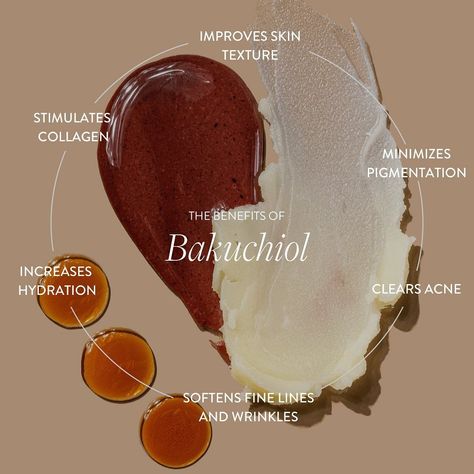 Bakuchiol (pronounced: buh - koo - chee - owl) is now infused in our Plumping Serum + Cream for even more skin-loving benefits without the sensitizing side effects of retinol. Bakuchiol Benefits, Bakuchiol Serum, Retinol Benefits, Health Benefits Of Collagen, Primally Pure, Benefits Of Collagen, Serum Benefits, Holistic Skin Care, Skin Care Business