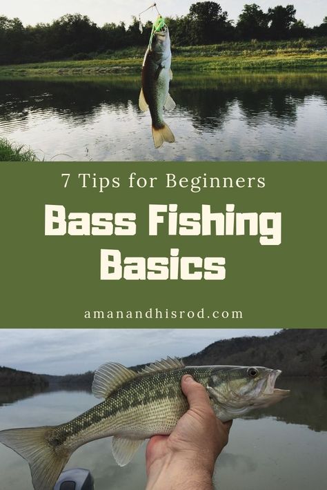 Bass Fishing Basics - 7 Tips Every Beginner Should Know | A Man & His Rod Bass Fishing Pictures, Largemouth Bass Fishing, Fishing Basics, Fishing 101, Fishing For Beginners, Bass Fishing Lures, Fly Fishing Tips, Bass Fishing Tips, Fishing Pictures