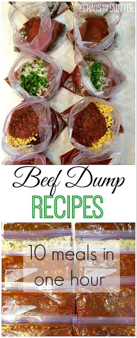 Beef Dump Recipes Beef Dump Recipes, Dump Crockpot, Beer Braised Chicken, Dump Recipes, Make Ahead Freezer Meals, Dump Dinners, Crock Pot Freezer, Beef Hash, Dump Meals