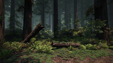 Macro Environment, Head Bust, Don Draper, Redwood Forest, Landscape Concept, Fantasy Forest, Animation Background, Arte Fantasy, Environment Design