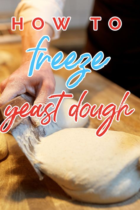 Freezing yeast bread dough is a method of preserving dough for later use. How To Freeze Homemade Bread Dough, How To Make Bread Dough To Freeze, Can You Freeze Bread Dough, How To Freeze Bread Dough, Freeze Bread Dough, Freezing Bread Dough, Frozen Bread Dough Recipes, Freezing Bread, Yeast Dough Recipe