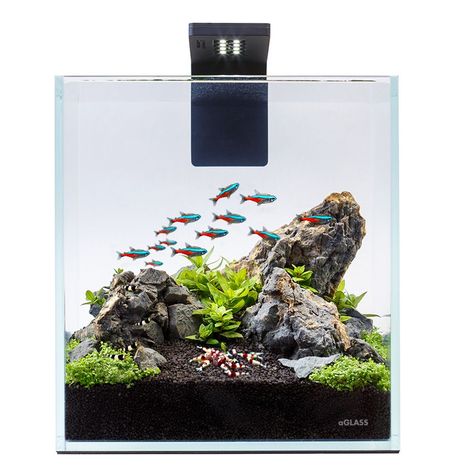 The set includes: Aquarium aGLASS 10 liters volume made from ultra-transparent glass. Aquarium lamp AquaLighter Nano. Black elegant LED lamp is a real decoration of the aquarium! It is specially designed for aquariums up to 25 liters volume. Internal filter. Fancy Aquarium, Desktop Aquarium, Aquarium Garden, Aquarium Set, Fish Tank Terrarium, Fish Tank Design, Aquascape Design, Betta Aquarium, Tropical Fish Tanks