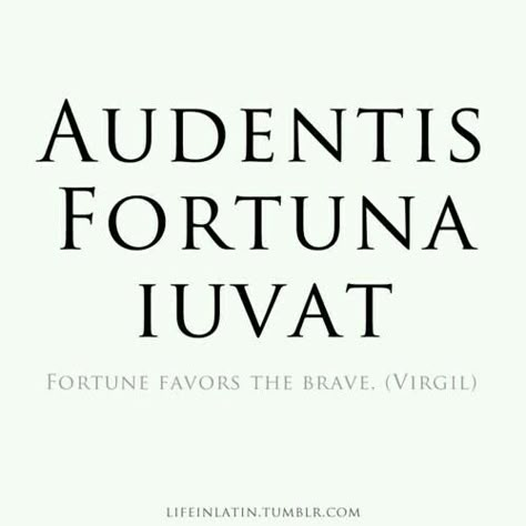 Audentis Fortuna Iuvat - Fortune Favors The Brave. Foreign Quotes, Best Latin Quotes, Latin Proverbs, Latin Quote Tattoos, Latin Tattoo, Fortune Favors The Brave, Latin Quotes, Latin Language, Latin Phrases