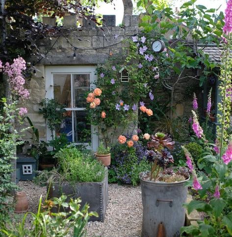 Small Magical Garden Spaces on Instagram: “💚🍃🌿 #smallmagicalgardens #smallgarden #gardendesign #gardening #ladyofshallotrose #climbingrose #clematis #countrygarden #courtyardgarden…” Small English Garden, Small Magical Garden, Patio Redo, French Cottage Garden, Boxwood Hedges, Inspiring Gardens, Home Garden Ideas, Small Courtyard Gardens, Shabby Chic Garden