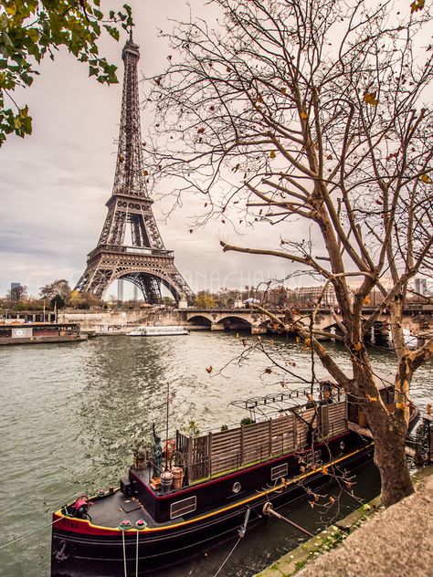 Paris in Autumn (2012). Photo by Beum Thanachai. Paris Tumblr, Saving Account, Torre Eiffel Paris, Paris In Autumn, River Seine, City Of Paris, Beautiful Paris, Paris Love, Paris Photo