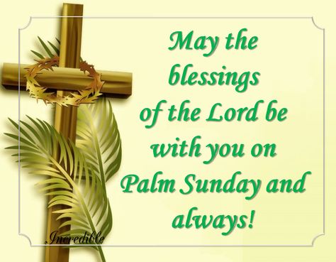 Palm Sunday Pictures, Easter Quotes Religious, Palm Sunday Quotes, Happy Palm Sunday, Sunday Pictures, Good Sunday Morning, Holy Saturday, Sunday Images, Easter Quotes