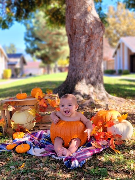 Baby fall pumpkin photo October Infant Photo Shoot, 4 Month Fall Photoshoot, 6 Month Pumpkin Photos, Fall 8 Month Pictures, Baby In Pumkin Ideas Pictures, 5 Month Old Halloween Photoshoot, Pumpkin Infant Pictures, Baby Pumkin Shoot, Baby In A Pumpkin Photoshoot