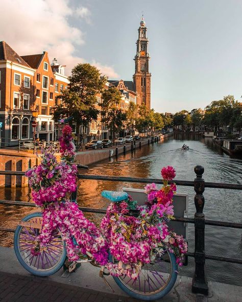 Official Instagram.Amsterdam🇳🇱 on Instagram: “Do U like this flower bike ? 🌸  Subscribe : @amsterdam_gram ❌❌❌ 📸 : @bodiekreith” Amsterdam Tourist Attractions, Amsterdam Wallpaper, Amsterdam Attractions, Popular Travel Destinations, Unique Food, Visit Amsterdam, European Cities, Netherlands Travel, Beautiful Cities