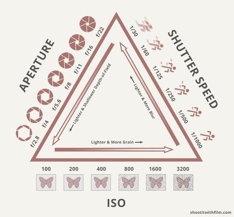 What is the Sunny 16 Rule and Why Should You Learn It? » Shoot It With Film Photography Challenge Beginners, Exposure Calculator, Sunny 16 Rule, Sunny 16, Photography Rules, Manual Photography, Aperture And Shutter Speed, Digital Photography Lessons, Photographer Marketing