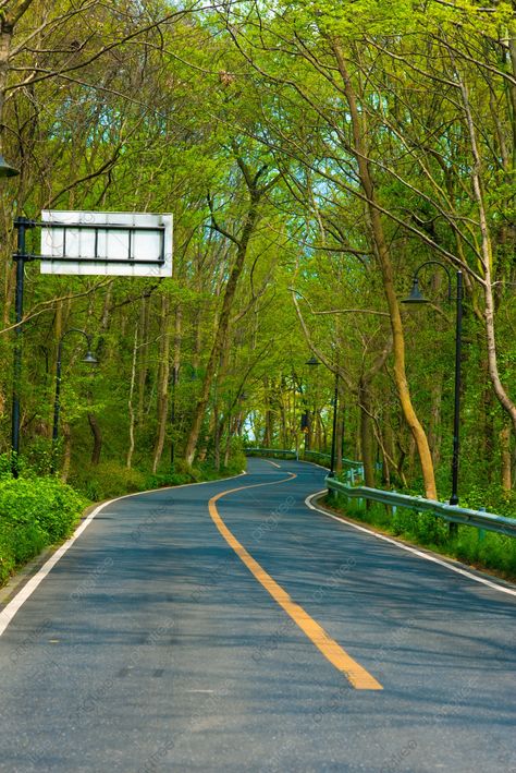 Forest Road Afternoon Road Outdoor Sports Photography Map With Pictures Background, Unmanned, Outdoor, Road Background Image for Free Download Hdr Background Photo, Road Hd Background, Road Editing Background, Road Side Background For Editing, Background Images Outdoor, Green Road Background, Outdoor Background For Editing, Road Ka Background, Road Background For Editing Hd