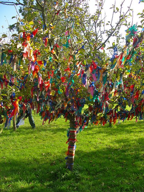 Wishing Tree at Nunnington Hall by nice icing, via Flickr Houses Of The Holy, Wishing Tree, Sacred Tree, The Easter Bunny, Garden Accents, Colorful Trees, Beltane, Easter Egg Decorating, Tree Wedding