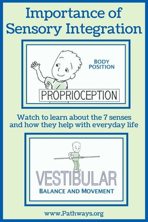 OT Sensory Circuits, Sensory Processing Disorder Symptoms, 7 Senses, Sensory Processing Activities, Vestibular Activities, Sensory Integration Activities, Sensory Integration Therapy, Sensory Disorder, Infant Lesson Plans