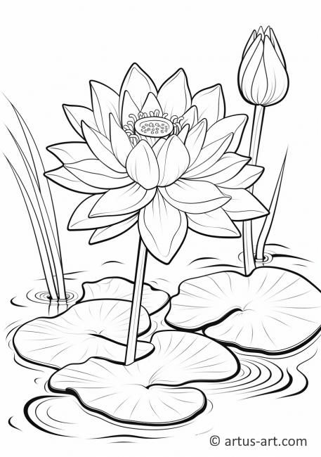 Lotus Flower in a Pond Coloring Page » Free Download » Artus Art Adult Drawing, Coloring Patterns, Pirate Coloring Pages, Insect Coloring Pages, Coloring Pages Nature, Farm Coloring Pages, Garden Coloring Pages, Coloring Pages Winter, Drawing Kids