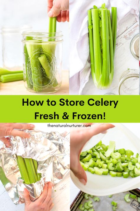 Can You Freeze Fresh Celery, How To Freeze Celery Stalks, Keeping Celery Fresh In Fridge, Celery Preservation, Can Celery Be Frozen, How To Make Celery Last Longer, How To Keep Celery Crisp, Keep Celery Fresh Longer, Freezing Fresh Leeks