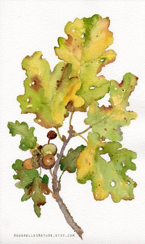 Tree Leaves Painting, Painting Leaf Art, Leaves Painting, Fall Watercolor, 수채화 그림, Oak Leaves, Watercolor Trees, Autumn Painting, Painted Leaves