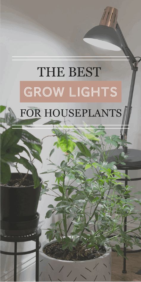 The Best Grow Lights For Your Houseplants - The Healthy Houseplant Houseplant Grow Light, Decorative Grow Lights For Houseplants, Artificial Light For Plants, Grow Lights For Houseplants, Indoor Plant Lights, Indoor Grow Lights, Best Grow Lights, Grow Light Bulbs, Plant Mama