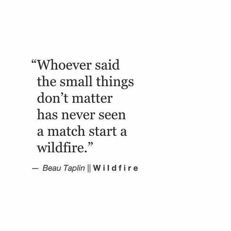 "Whoever said the small things don't matter has never seen a match start a wildfire." Fire Match, Beau Taplin Quotes, Quote Inspiration, Small Places, Trendy Quotes, Poem Quotes, E Card, Free Spirited, Small Things