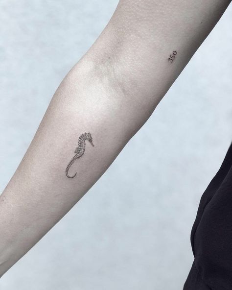 Seahorse Tattoo Ideas, Small Animal Tattoo Ideas, Small Animal Tattoo, Zee Tattoo, Ocean Life Tattoos, Sea Life Tattoos, Beachy Tattoos, Animal Tattoos For Women, Starfish Tattoo