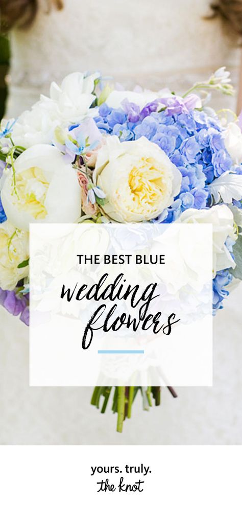 Real Blue Flowers For Wedding, Blue Flower Arrangements Wedding, Blue Bouquet Wedding, Blue Wedding Flowers Bouquet, Types Of Blue Flowers, Blue Wedding Flower, Wedding Flowers Blue, September Wedding Flowers, Blue Flower Arrangements