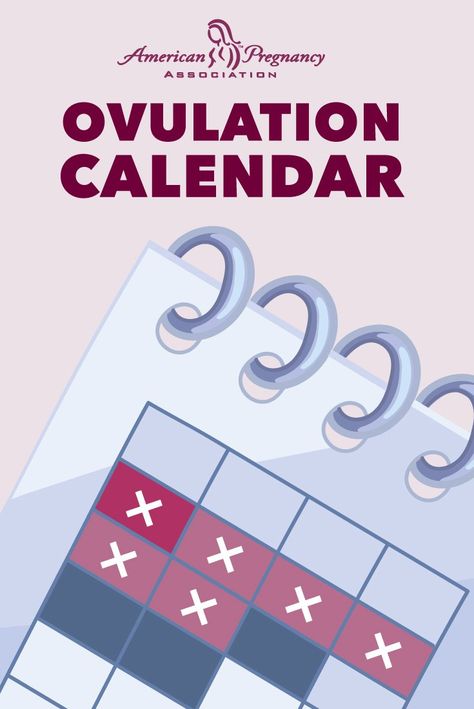 Looking for an ovulation calendar? Use APA's FREE Ovulation Calendar to zero in on your ideal dates to conceive. Try the ovulation calendar now. Fertility Calendar, Ovulation Calendar, Ovulation Calculator, Baby Due Date Calendar, Pregnancy Calendar, Due Date Calendar, Pregnancy Calculator, Timing Is Everything, Trying To Get Pregnant