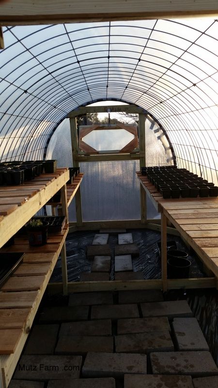 Ultimate Cattle Panel Greenhouse | SufficientSelf - Creating a Sustainable Lifestyle Cattle Panel Greenhouse Plans, Cheap Greenhouse Diy, Cattle Panel Garden, Cattle Panel Greenhouse, Simple Greenhouse, Greenhouse Construction, Cheap Greenhouse, Tunnel Greenhouse, Gardening Tricks