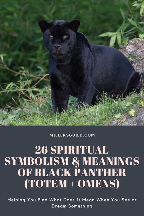 Black Panther Totem, Black Panther Spiritual Meaning, Black Panther Symbolism, Black Panther Spirit Animal, Panther Symbolism, Panther Meaning, Panther Spirit Animal, Black Panther Quotes, Black Panther Symbol