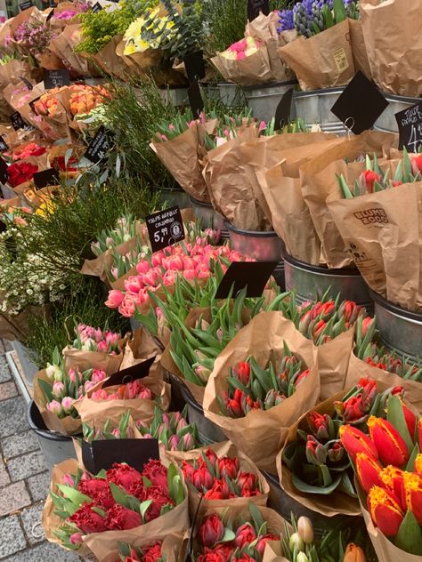 Practice Makes Perfect Sarah Adams, Sarah Adams, The Flower Market, Boquette Flowers, Practice Makes Perfect, Aesthetic Flowers, Nothing But Flowers, Flower Therapy, Flowers For You