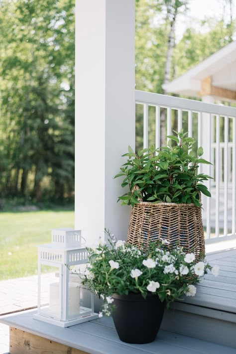 Front Porch Ideas Flowers, Flower Pot Front Porch, Front Step Potted Plants, Summer Front Step Decor, Eclectic Front Porch Ideas, Planters On Steps, Flowers Front Porch, Portico Decor, Front Porch Small Decor