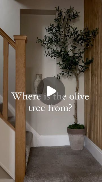 Abbey Brown - DIY | Reno | Upcycles | Styling on Instagram: "Where is the olive tree from? 

We made it!! It’s a DIY OLIVE TREE! 

And I’m still obsessed with it 😍 I couldn’t find the perfect shaped one so I decided to make my own! And so can you! 

I said I was going to try and do it for £20 but it was too small and I wanted a bigger one so the total cost came to £33 which I still think is a bargain for a 6ft + tree 🫒

I used 8 x @ikeauk olive stems £3.50 each 
The pot was £5 from @bm_stores 
Faux moss @amazonhome 

I have saved full details in my highlights but if you have any questions let me know 🤎

What do you think? 

#diyolivetree #fauxolivetree #olivetree #olivetrees #ikeahack #ikeahacks #ikeahackers #diyhomedecor #diyhomeprojects #diycraft #budgetdiy #budgetdecor #interiorstyle Diy Olive Tree, Olive Trees In Pots, Faux Moss, Faux Olive Tree, Ikea Hackers, We Made It, Olive Tree, Decorating On A Budget, Ikea Hack