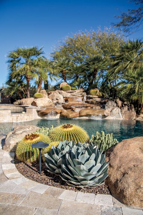 Desert Landscape Around Pool, Dessert Landscape Front Yard, Desert Pool, Desert Landscaping Backyard, Desert Landscape Design, Cactus Garden Landscaping, Landscaping Around Pool, High Desert Landscaping, Cactus Landscape