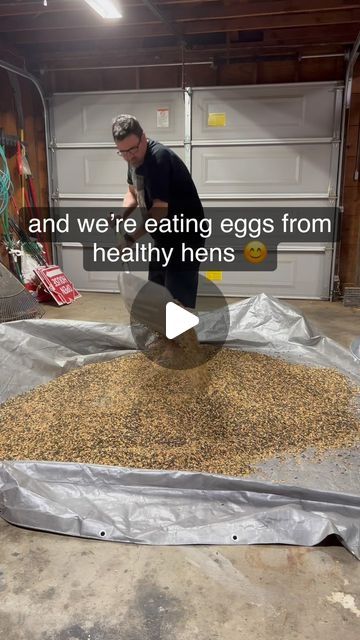 Mary Ann Molina | Realtor® on Instagram: "Recipe: (link to purchase some of the products in my bio via Amazon.) I make 4 of this batch at a time, but here is the recipe for a single batch: Barley 25 lbs Oats 12 lbs Wheat 12 lbs Blk oil sunflower seed 25 lbs Calf Manna 10 lbs Millet 10 lbs Milo 10 lbs Flax seed 10 lbs Kelp Meal 2 lbs Sunflower hearts 5 lbs Sesame seeds 1 lb Split pea 2 lbs For parasite prevention: 3 cups of red pepper flakes For immunity boost: 2 cups of granulated garlic 2 cups of dried oregano Provide separate feed bowl of crushed oyster shells for layers. I ferment daily. 1 gallon dry turns into over 2 gallons fermented volume. I have 52 chickens and 10 ducks. Kelp meal and sesame seeds I order from Amazon Making feed for our flock enables me to control what my Chicken Feed Mix Recipe, Red Pepper Flakes For Chickens, Chicken Feed Recipe, Black Soldier Fly Larvae, Duck Feed, Granulated Garlic, Immunity Boost, Backyard Chicken Coop Plans, Backyard Chicken Farming