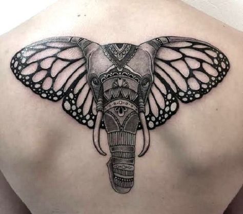 Elephant Butterfly Ears, Elephant Butterfly Tattoo, Ears Tattoo, Mandala Elephant Tattoo, Elephant Tattoo Meaning, Butterfly Wing Tattoo, Tiny Elephant Tattoo, Elephant Butterfly, Butterfly Tattoo Meaning