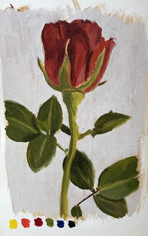 Red rose flower on a grey background oil sketch painting in a sketchbook with colour swatches at the bottom. Pretty Easy Paintings Simple, Oil Pastels Reference, Oil Painting Drawings For Beginners, Realistic Painting For Beginners, Acrylic Painting Sketch, Rose Oil Pastel Drawing, Oil Painting Easy Ideas, Rose Easy Painting, Red Flower Painting Easy