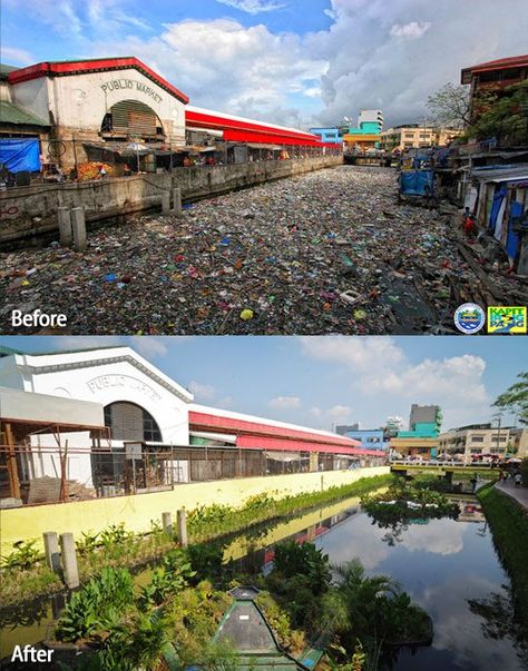 I grew up playing by a different part of that dirty river.  Keep up the beautification project! I'd gladly donate to this endeavor. #pasigriverproject Pasig River, Water Pollution, Photo Restoration, Need A Vacation, Restoration Services, Swimming Holes, Before And After Pictures, Epic Fails, Island Beach