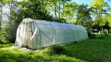 Polytunnel Gardening, Polytunnel Ideas, Mediterranean Garden Ideas, Commercial Greenhouse, Dome Greenhouse, Best Greenhouse, Spring Crops, Large Greenhouse, Build A Greenhouse