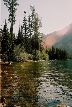 Nature Destinations, Belle Nature, Fashion Wedding, Foto Inspiration, Travel Adventure, Pretty Places, Oh The Places Youll Go, Wedding Tips, Beautiful World