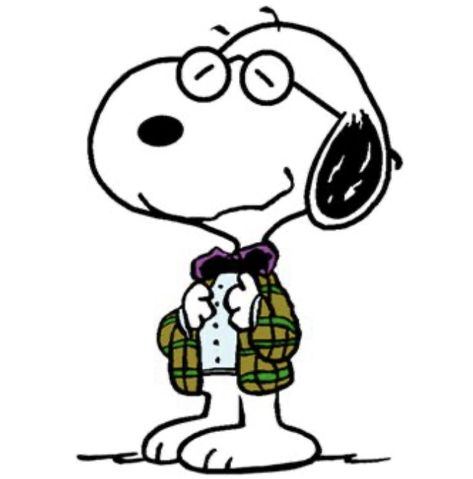 Math Icon, Teacher Icon, Charlie Brown Wallpaper, Snoopy Drawing, Snoopy Characters, Math Professor, Profil Facebook, Woodstock Snoopy, Snoopy Images