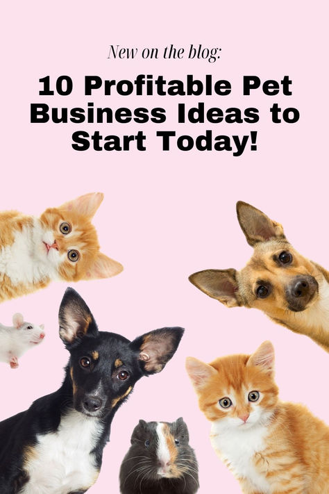 animal business ideas
pet business ideas
unusual pet business ideas
online pet business ideas pet business
pet sitting business
pet care business
pet industry jobs
pet grooming business
how to start a pet business
pet based business
pet daycare business
pet business opportunity Animal Business Ideas, Pet Social Media Post, Pet Business Ideas, Dog Business Ideas, Dog Boutique Ideas, Dog Sitting Business, Pet Influencer, Pet Services Business, Easy Small Business Ideas