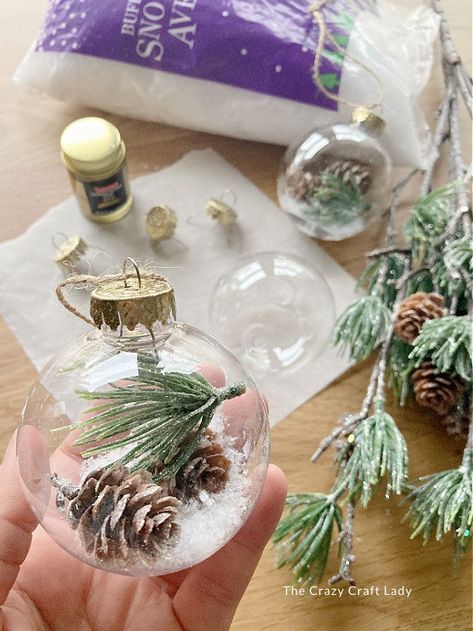 DIY pine snow globe ornaments Plastic Globe Ornaments, Glass Ball Ornament Ideas Easy Diy, Snow Filled Ornaments Diy, Clear Tree Ornament Ideas, Christmas Ornaments Diy Clear Ball, Diy Christmas Ornaments Plastic Balls, Christmas Glass Ornaments Diy Ideas, Filled Glass Ornaments, Diy Filled Christmas Ornaments