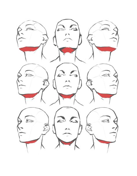 Head Leaned Back Drawing, Head Posture Drawing, Head Up Reference Drawing, Slightly Tilted Head Reference, Head Tips Drawing, Drawing Reference Head Angles, Drawing Heads Angles, Body Angles Drawing, Face Up Drawing