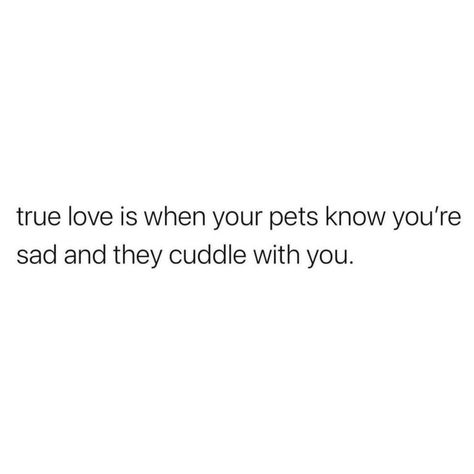 Fur Mom Quotes, Animal Lover Quotes Feelings, Dog Owner Quotes, Dog Funny Quotes, Cat Mom Quotes, Animal Lover Quotes, Dogs Quotes, Dog Mom Quotes, Dog Quotes Love