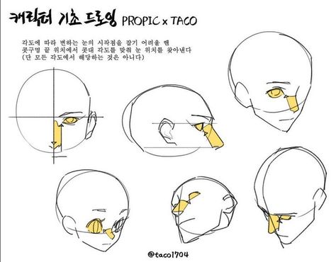 When experiencing struggles with the placement of the eyes from different angles, they usually start from where the nostrils are, according to the angle of the nose bridge (but this doesn’t apply to all angles) Draw Anatomy, 얼굴 드로잉, Anatomy Tutorial, Nose Drawing, 얼굴 그리기, Human Anatomy Art, Anatomy Sketches, Body Reference Drawing, Anatomy Study