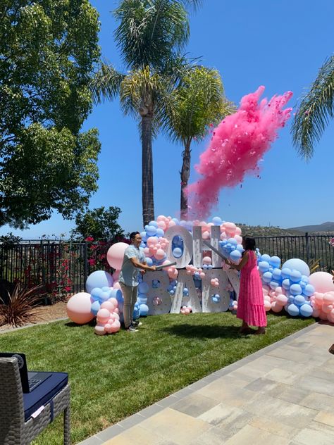 Gender Reveal Ideas With Smokers, Baby Gender Reveal Party Decorations, Gender Reveal Ideas, Its A Girl, Gender Reveal Party Decorations, Baby Gender Reveal Party, Baby Gender Reveal, Reveal Ideas, Reveal Party