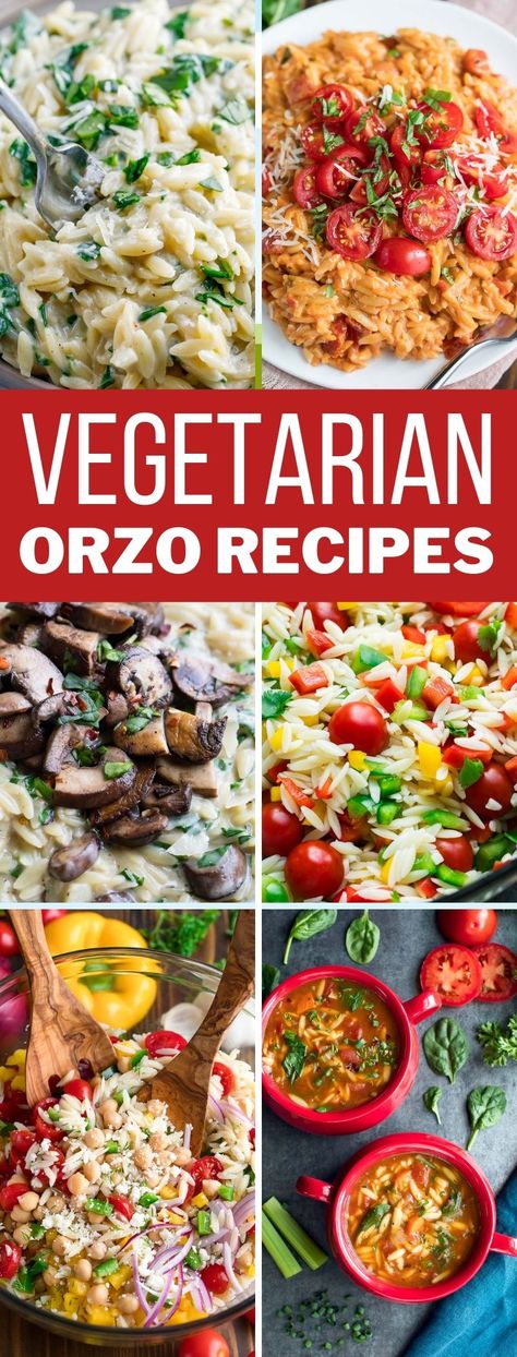 collage of vegetarian orzo recipes Easy Orzo Recipes, Vegetarian Orzo, Easy Orzo, Savory Lunch, One Pot Vegetarian, Orzo Recipes, Ouzo, Vegetarian Menu, Vegetarian Side Dishes