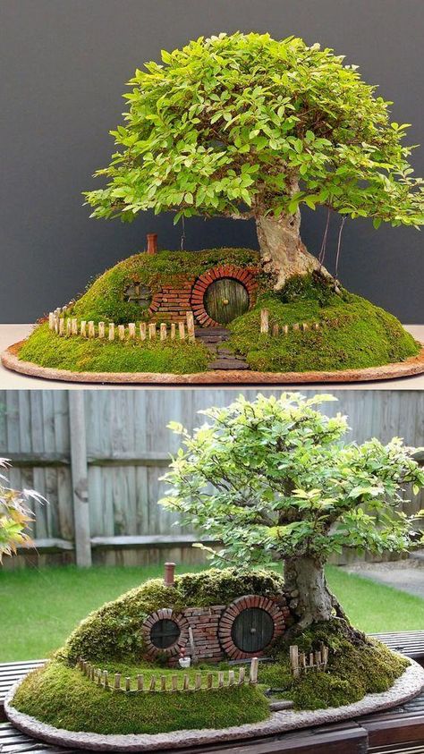 Hobbit Garden, Cloche Ideas, Plants Terrarium, Succulent Rock Garden, Casa Hobbit, Fairy Garden Pots, Succulent Ideas, Fairy Tree Houses, Garden Apartment