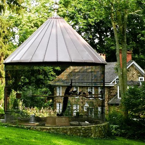 Peacock House I grew up in a neighborhood where #peacocks roamed wild. This #photo from @hortulusfarm brought back #memories 💙💚💙👑 #sunday… Bird Architecture, Chicken Koop, Peacock House, Future Farms, Bird Aviary, Backyard Paradise, Green Pasture, Casa Exterior, Down On The Farm