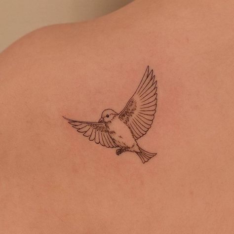 Line Bird Tattoo, Fine Line Bird Tattoo, Yellow Bird Tattoo, Mockingbird Tattoo, Tattoo On The Shoulder, Finch Tattoo, Line Animals, Christian Tattoos Small, Robin Bird Tattoos