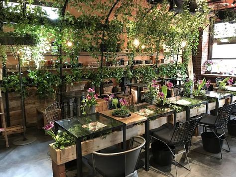 Aoyama Flower Market Tea House Green Coffee Shop, Coffee Shop Music, Tea House Design, Chinese Tea House, Tea Houses, Flower Cafe, Houses Architecture, Glamour Decor, Design Café